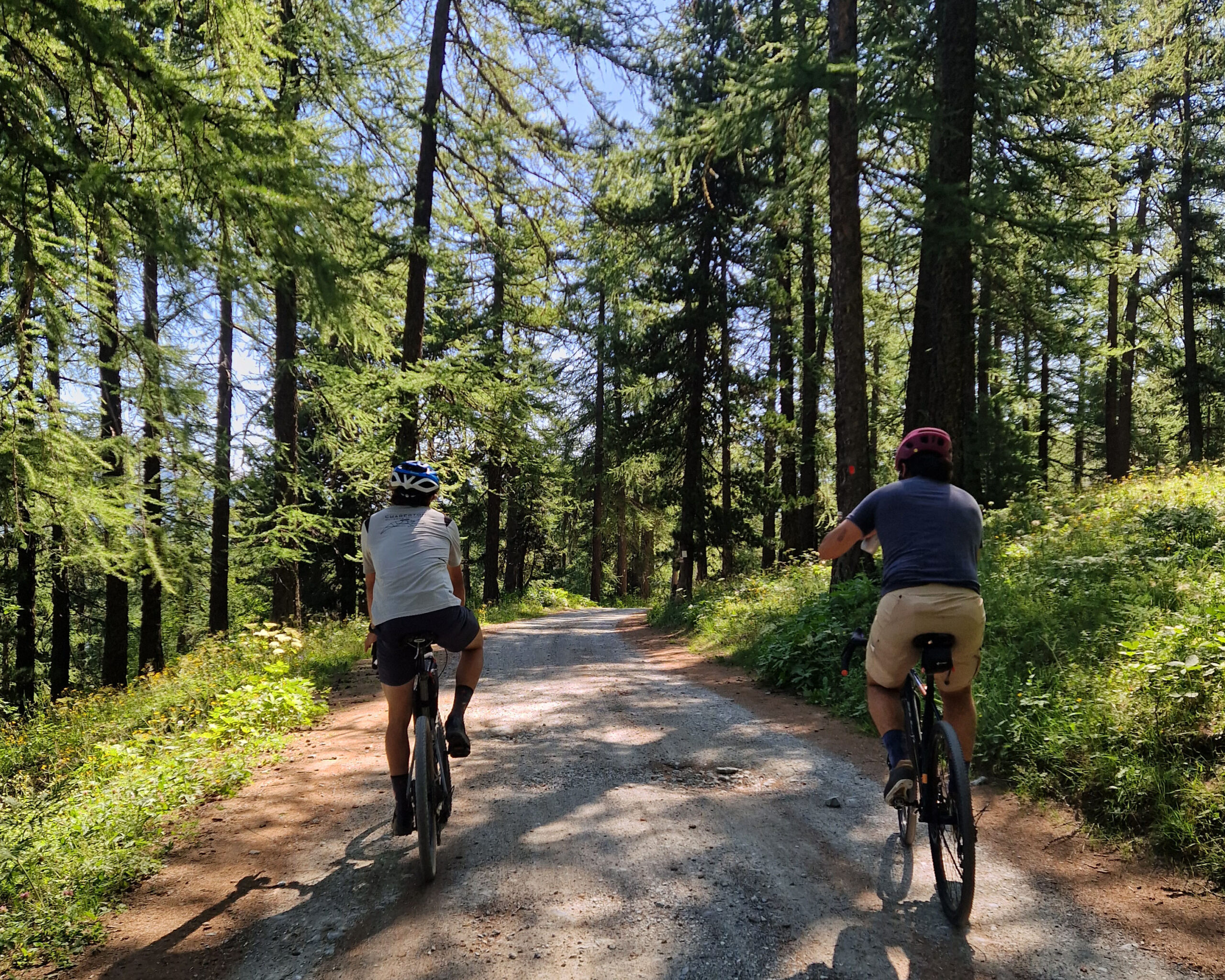 Copia di 20250710_102238